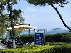 -星海湾跨海大桥
