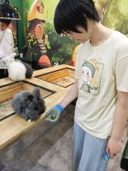 -神奇动物撸宠馆·羊驼·小浣熊·异宠(豫园店)