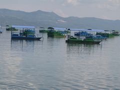 -抚仙湖禄充风景区