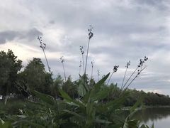 -艾溪湖湿地公园