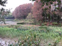 -盆满钵满·国家非遗传承(云台店)