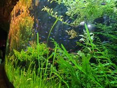 -上海海洋水族馆