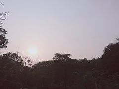 -阳台山森林公园
