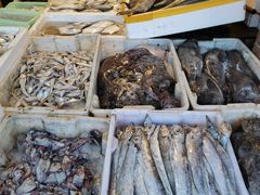 -芦潮港集贸市场