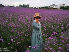 -紫颐香薰山谷景区