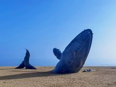 -烟台金沙滩海滨公园