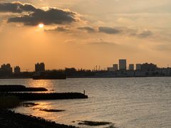 -上海滨江森林公园