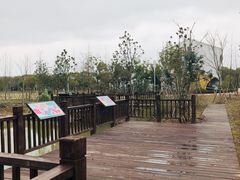 -柳鹭田园区