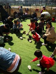 -萌宠亲子动物乐园(槐房万达店)