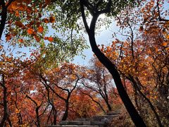 -周口店坡峰岭风景区