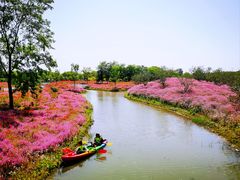 -花开海上生态园