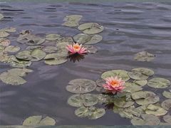 -牛岗山公园