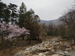 -北京鹫峰国家森林公园