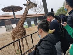 -灵玲国际马戏城
