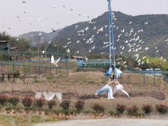 -瓷天下海丝谷