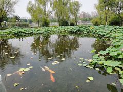 -武汉园博园(武汉自然博物馆)