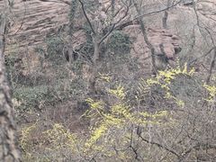 -伏羲山旅游区