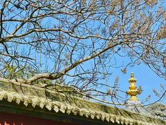 -西安市广仁寺