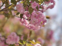 -大木小区斜土路1341弄