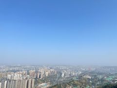 -南山植物园