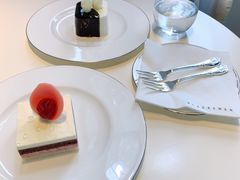 -BLACKSWAN黑天鹅(环球店)