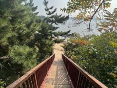 -海源公园