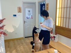 -柴犬小屋·柴餐厅·狗咖食堂(金鼎广场店)