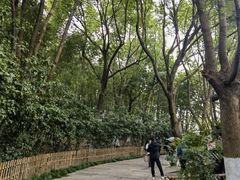 -乌镇东栅景区