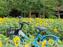 -海心沙亚运公园