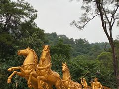 -三门江国家森林公园