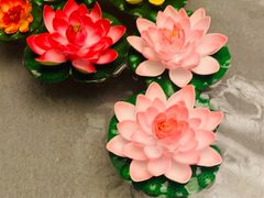 -汤泉良子(金源店)