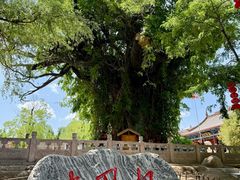 -大槐树寻根祭祖园