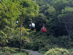 -王顺山国家森林公园