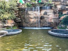 -七彩云南古滇温泉山庄