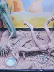 -酷嗒动物文化乐园(cutezoo西溪乐天城店)