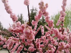 -西安汉城湖景区