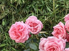 -下沉广场(羊坊店街道)