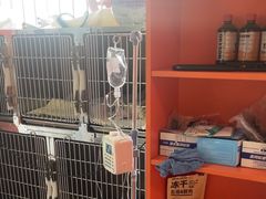 -瑞派福兴宠物医院犬猫全科·骨科·中西医结合(河东店)