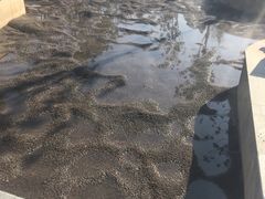 -三江森林温泉度假区