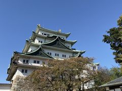 -名古屋城