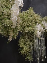 -城市花园婚纱摄影