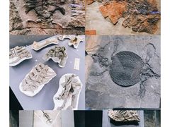-贵州省博物馆(新馆)