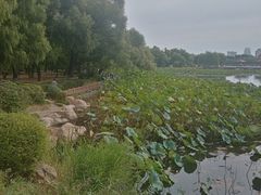 -长春市南湖公园