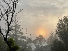 -梧桐山风景名胜区