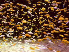 -成都浩海立方海洋公园