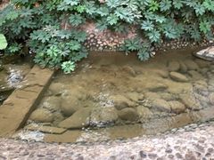 -兴芮温泉度假区