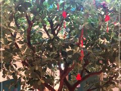 -悦海·家宴·冰花皮皮虾大锅贴(宝龙店)