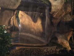 -金穗园温泉酒店