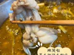 -石锅苗苗鱼(武汉首店)