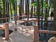 -东湖落雁景区